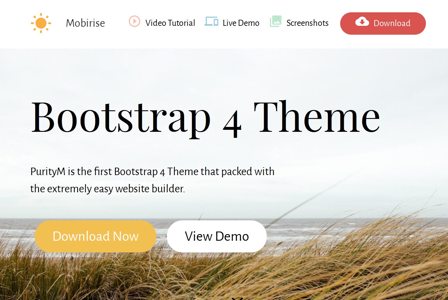 The new, fully responsive and retina-ready Bootstrap 4 theme comes with a big set of pre-made blocks: image slideshow, contact form,  social share buttons, mobile menu, google maps, vector icons, price table, footer, video and parallax background, article, blog, feedback, buttons, lightbox gallery, google fonts, full screen intro and more.