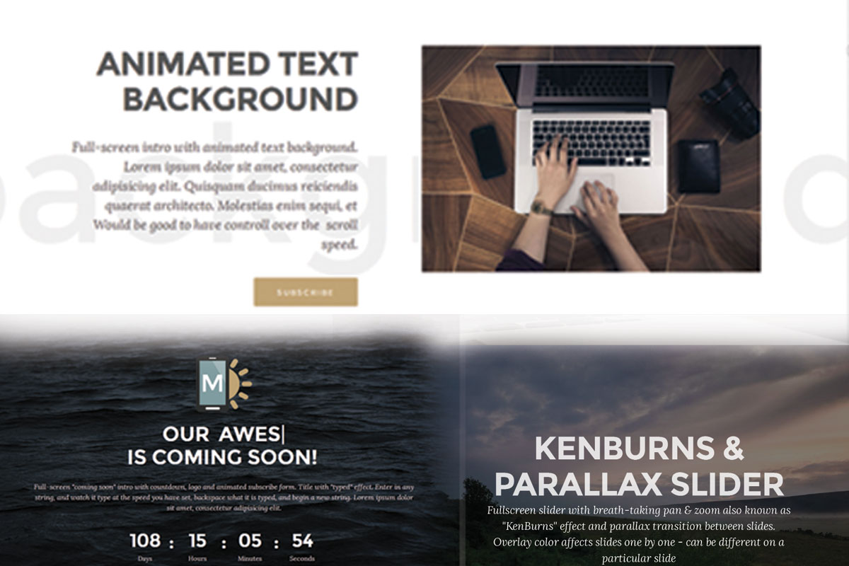 To amaze your clients and please the eye even more near the end of the intro blocks stack there are some blocks utilizing movement as an expression mean in fresh and appealing way. I’m talking about the Title with typed effect, animated background and the Kenburns and Parallax image slider.