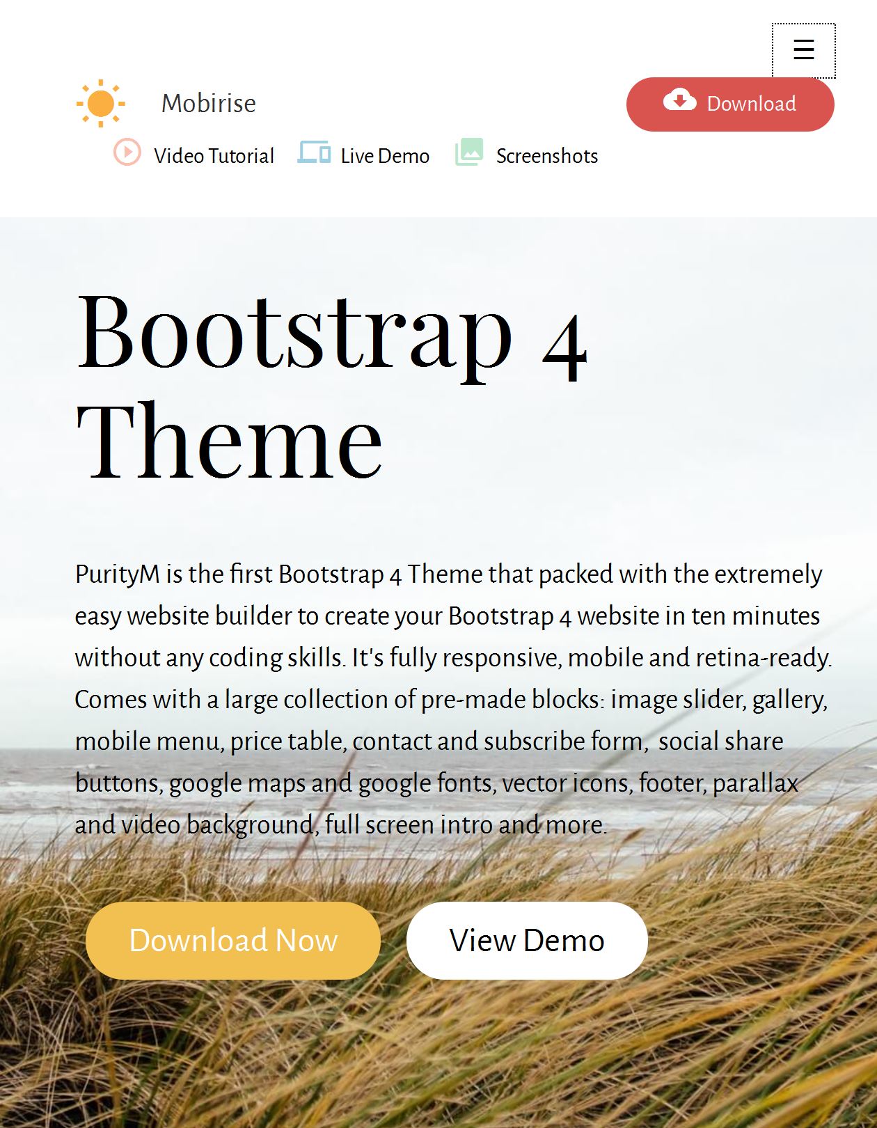 Bootstrap Css Template