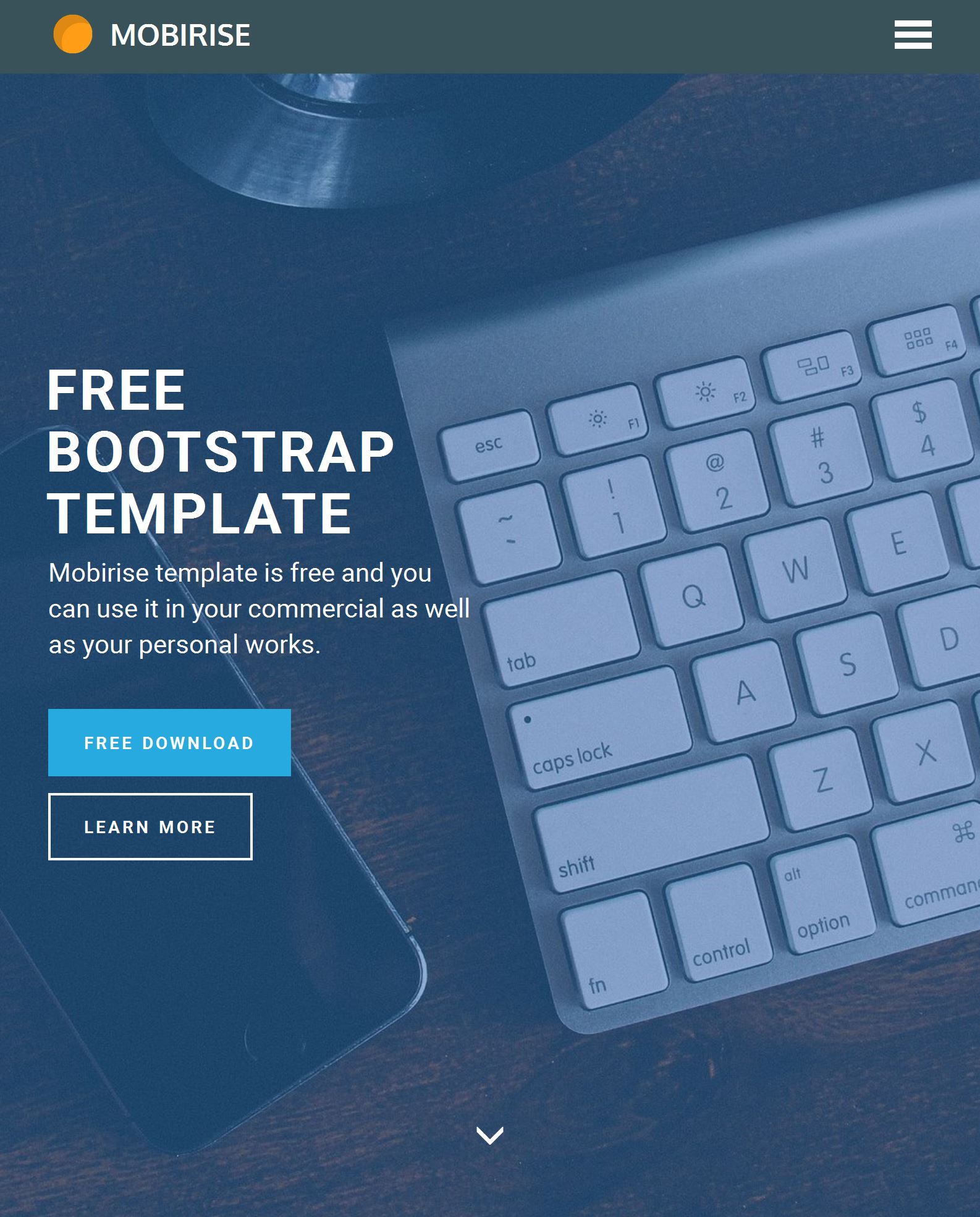 55 Best Free Bootstrap Templates 2021