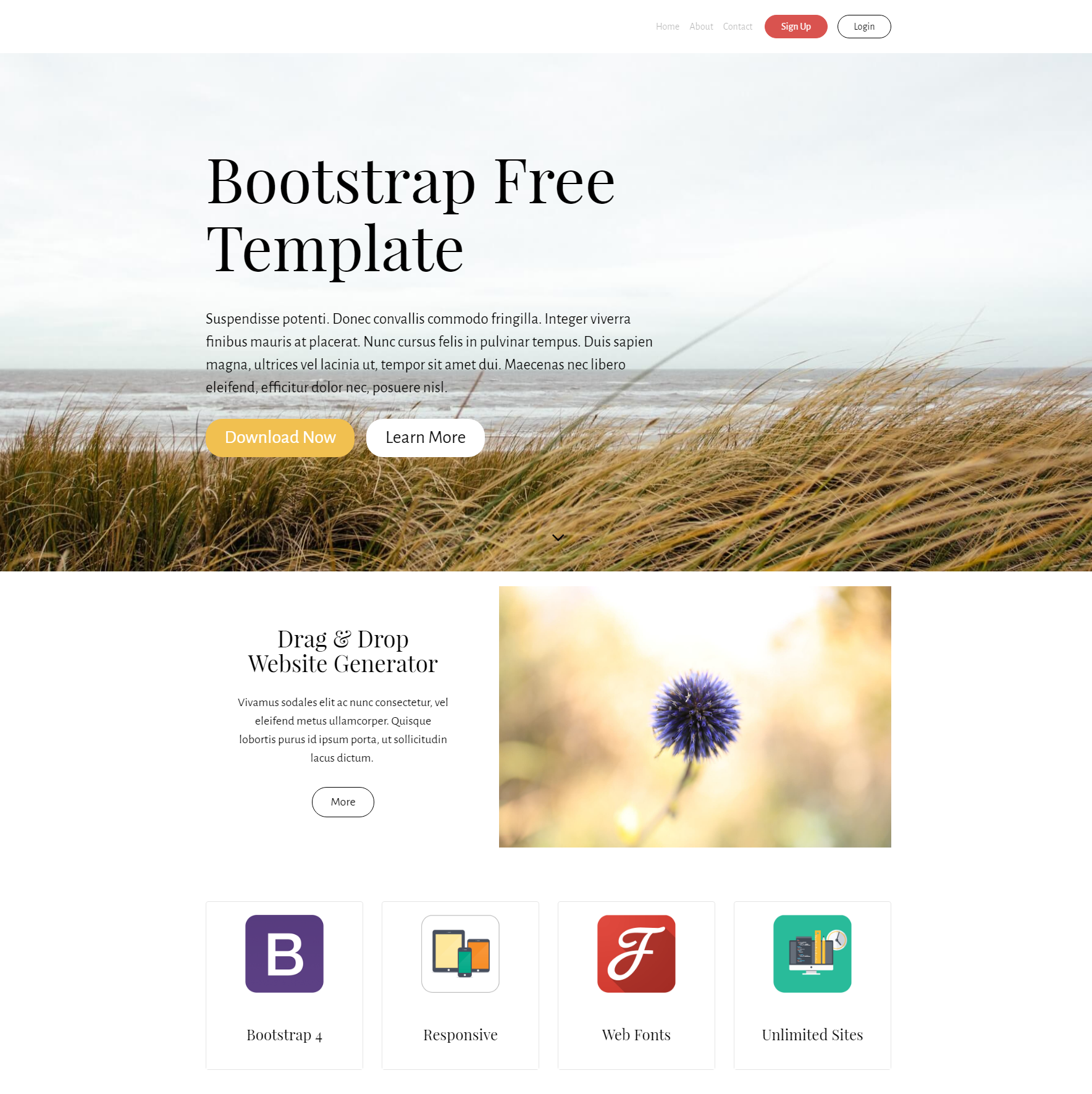 PurityM Bootstrap theme