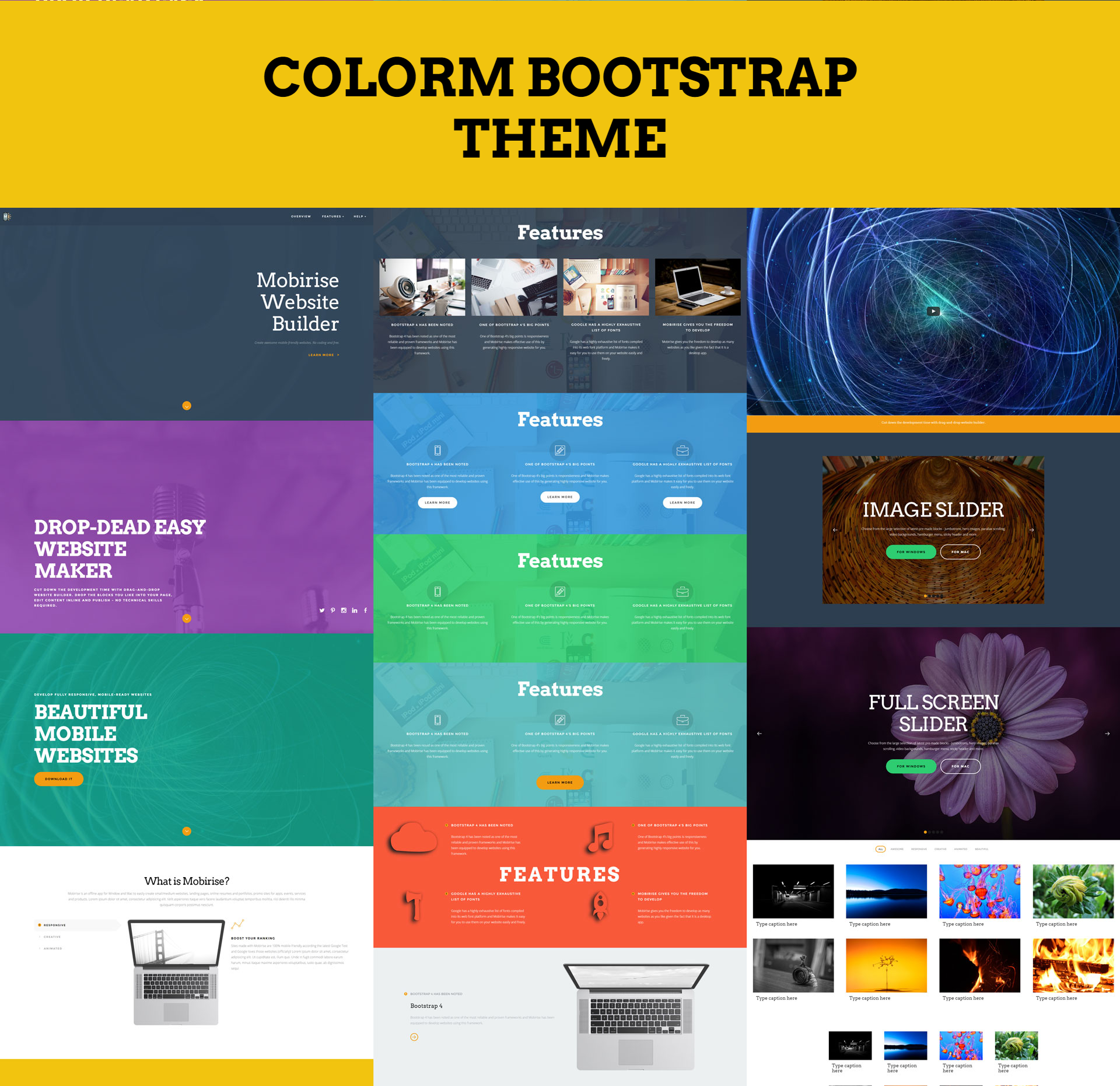 ColorM Bootstrap Theme