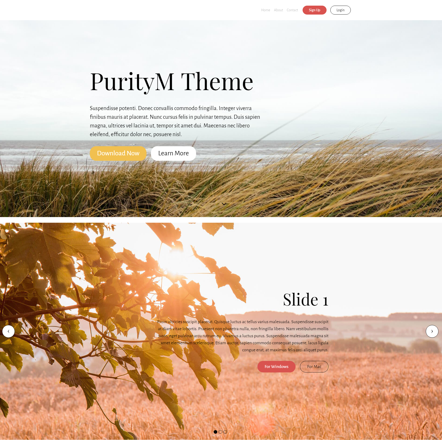 PurityM Bootstrap Theme