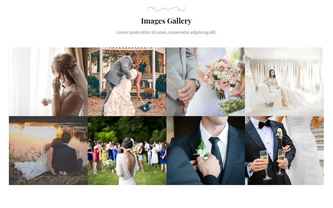 Wedding AMP Responsive Gallery